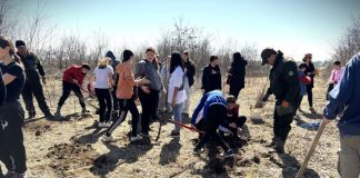 FOTO Lucrări de împădurire pe Valea Caregnei, cu ajutorul elevilor și profesorilor din Ruginești