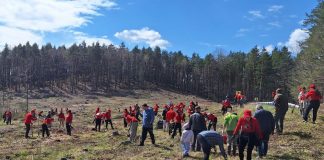 FOTO Acțiune de împădurire în zona Gălăciuc