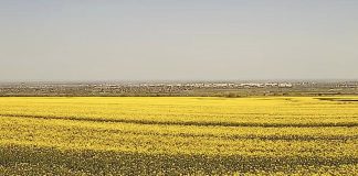 Meteo: vremea se încălzește ușor în următoarea perioadă