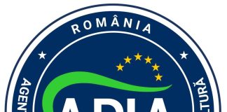 APIA a început Campania de plăți în avans 2025: peste 100.000 de fermieri autorizați la plată în prima zi