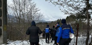 Pui de urs, aproape de o unitate școlară din Soveja / Jandarmii montani și localnicii au alungat animalul în pădure