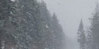 Meteo: atenționări de vânt, ninsori și viscol și astăzi, în Munții Vrancei