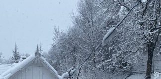 FOTO Zăpadă în zona montană a județului Vrancea
