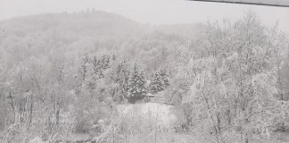 Meteo: cod portocaliu de vânt în Munții Vrancei / Vântul va persista cel puțin până mâine seară