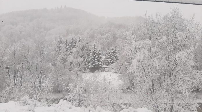 Meteo: cod portocaliu de vânt în Munții Vrancei / Vântul va persista cel puțin până mâine seară