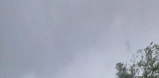 Un polițist vrâncean a intervenit la un accident rutier în județul Buzău