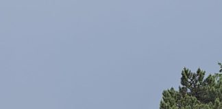 ULTIMA ORĂ Incendiu la școala din Mirceștii Noi