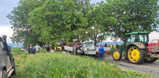 Accident mortal între Păunești și Domnești