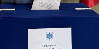 Românii din străinătate au început să voteze la turul al doilea al alegerilor prezidențiale