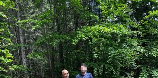 Un turist s-a întâlnit cu ursul la „Șezătoarea Lupilor”, în zona Soveja. El a chemat jandarmii