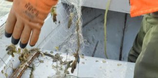 Razie printre pescari: plase monofilament, pripon, 80 kg pește