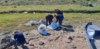 VIDEO Comisarii de mediu au dat iama în braconierii de pe Dunăre