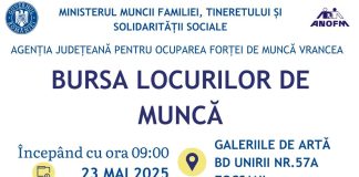 Bursa generală a locurilor de muncă are loc vineri, la Galeriile de Artă din Focșani