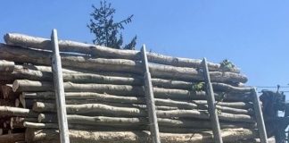 O nouă actualizare la aplicația SUMAL