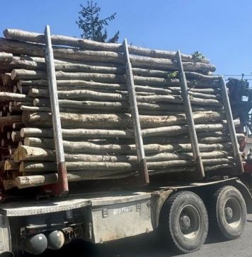 O nouă actualizare la aplicația SUMAL