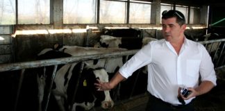 Fermier vrâncean despăgubit cu 12,5 milioane de euro pentru că Autostrada A7 i-a afectat afacerea