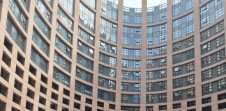 Măsuri propuse de europarlamentari pentru a consolida poziția fermierilor în lanțul de aprovizionare cu alimente