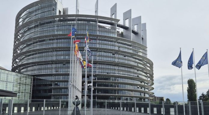 Norme UE pentru protejarea pisicilor și câinilor împotriva abuzurilor: microciparea și înregistrarea obligatorii / Interzicerea reproducției câinilor sau pisicilor cu trăsături conformaționale excesive