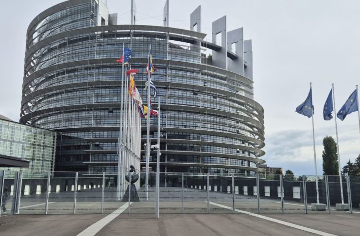 Norme UE pentru protejarea pisicilor și câinilor împotriva abuzurilor: microciparea și înregistrarea obligatorii / Interzicerea reproducției câinilor sau pisicilor cu trăsături conformaționale excesive