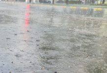 Meteo: ploi, lapoviță și ninsoare până la sfârșitul săptămânii