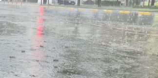 Meteo: ploi, lapoviță și ninsoare până la sfârșitul săptămânii