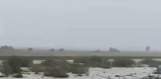 Cod galben de inundații în două bazine hidrografice din Vrancea