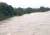 Risc de inundații pe unele cursuri de apă din județ