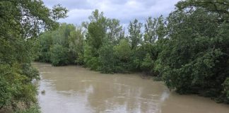 Probleme și în Vrancea din cauza ploilor abundente: curți și drumuri inundate / Intervin pompierii și voluntarii locali