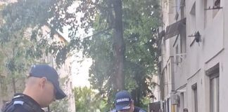 FOTO Un șarpe a provocat panică într-un cartier din Focșani