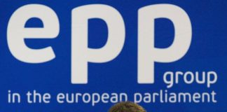 Partidul Popular European îl sprijină pe Nicușor Dan în alegerile prezidențiale și critică decizia PSD de a nu-l susține pe candidatul pro-european