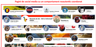 Reţea de site-uri clonate, care imită întocmai imaginea paginilor oficiale de internet ale unor instituţii publice și organisme de presă importante, utilizată pentru promovarea de conţinut înşelător