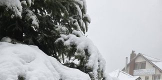 Vremea geroasă revine