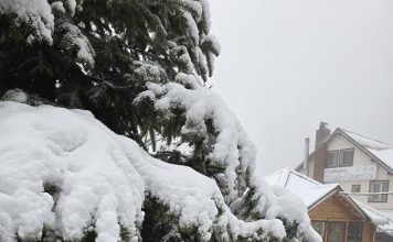 Vremea geroasă revine