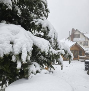 Vremea geroasă revine