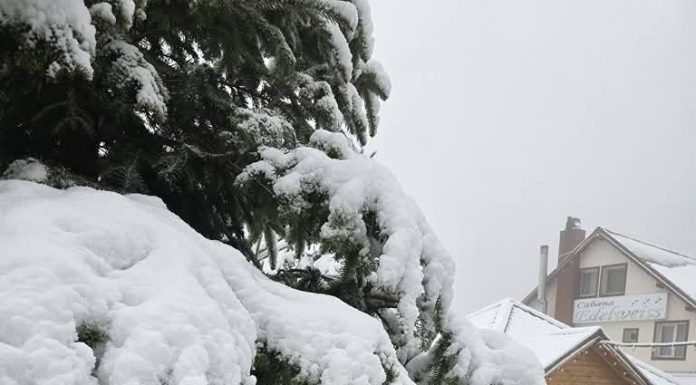 Vremea geroasă revine