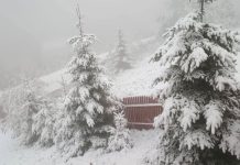 Ninsori și viscol la munte