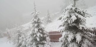 Ninsori și viscol la munte