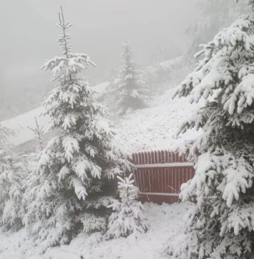 Ninsori și viscol la munte