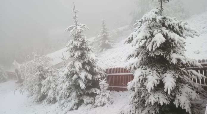 Ninsori și viscol la munte