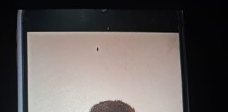 Un minor cu deficiențe, dat dispărut de la Centrul Școlar „Elena Doamna”