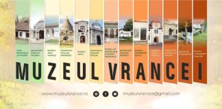 Intrare gratuită în muzee pentru elevii vrânceni