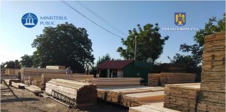 Percheziții în Vrancea și Buzău într-un dosar de evaziune fiscală din sectorul silvic