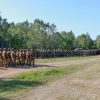 exercitiu militari 2
