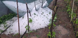 FOTO-VIDEO Grindina a provocat pagube în Vrancea / Se reiau discuțiile despre utilizarea sistemului antigrindină