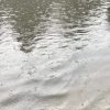 inundatii focsani