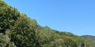 FOTO: Misiunile jandarmilor vrânceni în minivacanța de Rusalii