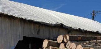 Firme din sectoarele silvic și construcții, amendate de Garda de Mediu Vrancea