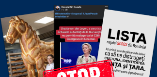 Senatul a adoptat un proiect de combatere a manipulării din mediul online