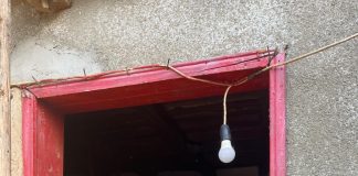 FOTO Percheziții la hoți de cai. Șase cabaline furate de pe un teren agricol