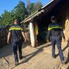 politie cai (2)